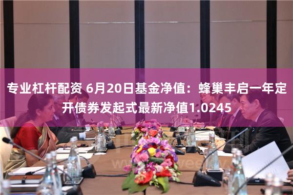 专业杠杆配资 6月20日基金净值：蜂巢丰启一年定开债券发起式最新净值1.0245