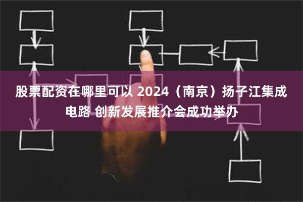 股票配资在哪里可以 2024（南京）扬子江集成电路 创新发展推介会成功举办