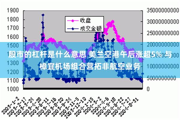 股市的杠杆是什么意思 美兰空港午后涨超5% 与樟宜机场组合营拓非航空业务