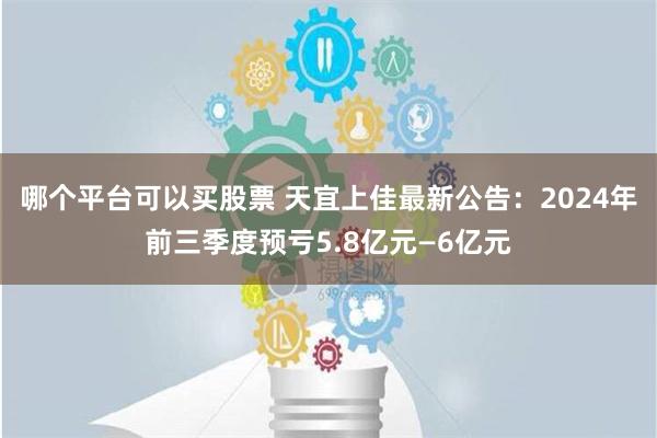 哪个平台可以买股票 天宜上佳最新公告：2024年前三季度预亏5.8亿元—6亿元