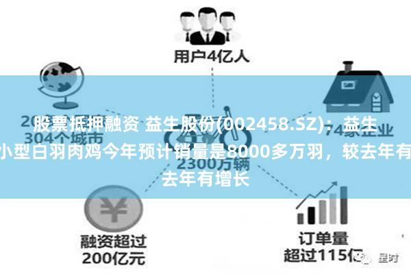 股票抵押融资 益生股份(002458.SZ)：益生909小型白羽肉鸡今年预计销量是8000多万羽，较去年有增长